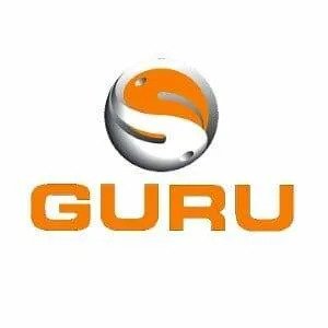 Guru