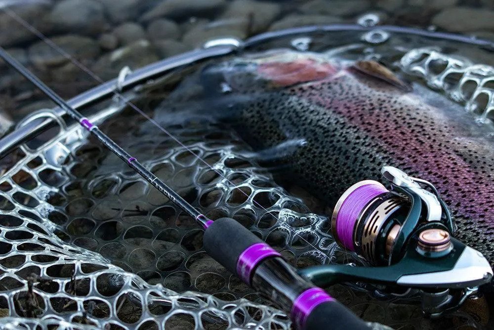 Tutto per il Trout Area